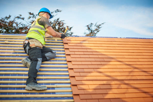 Best Roof Moss and Algae Removal  in Poway, CA